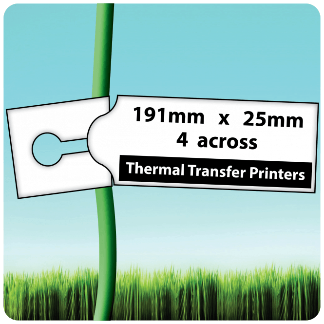 Loop Lock, Self-Ties 191mm x 25mm, 4 across - Printable Plant Labels for Thermal Transfer Printers