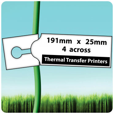 Loop Lock, Self-Ties 191mm x 25mm, 4 across - Printable Plant Labels for Thermal Transfer Printers