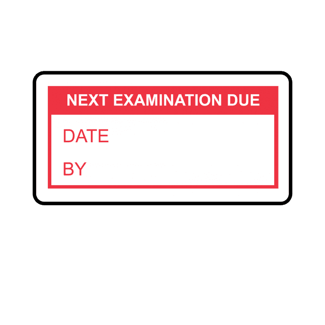 Next Examination Due Labels in Red